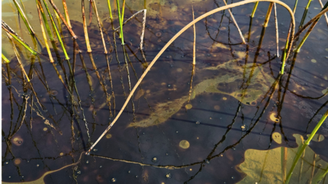 LSSU-led study documents more than 6,400 oil spills across the Great Lakes over decade